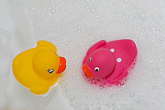 橡皮鸭,面对面,气泡,浴室,不列颠哥伦比亚省,加拿大