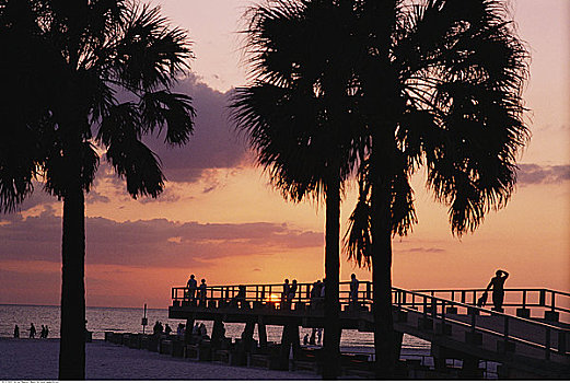 剪影,棕榈树,码头,海滩,日落,佛罗里达,美国