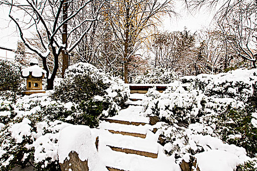 雪景