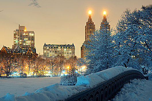 中央公园,冬天,摩天大楼,蝴蝶结,桥,曼哈顿中城,纽约