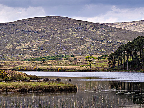 爱尔兰,多纳格,国家公园,风景,湖