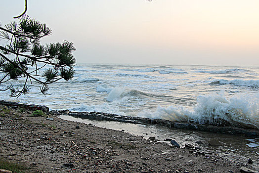 惊涛骇浪