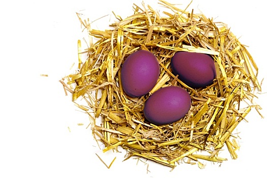 紫色,蛋,复活节草巢,稻草,隔绝,白色背景,背景