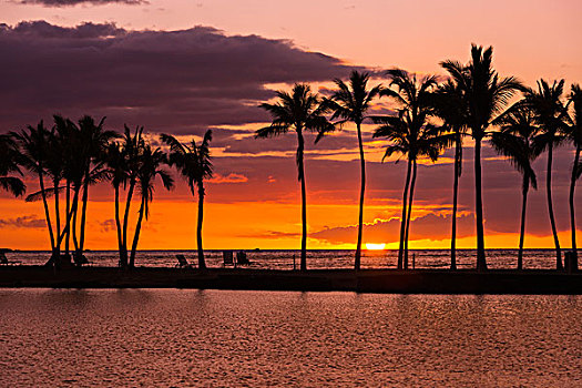 日落,剪影,棕榈树,阿纳耶霍玛鲁湾,湾,柯哈拉海岸,夏威夷大岛,夏威夷,美国,大幅,尺寸