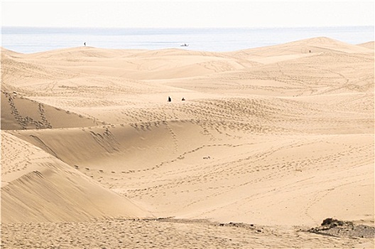 沙丘,沙漠