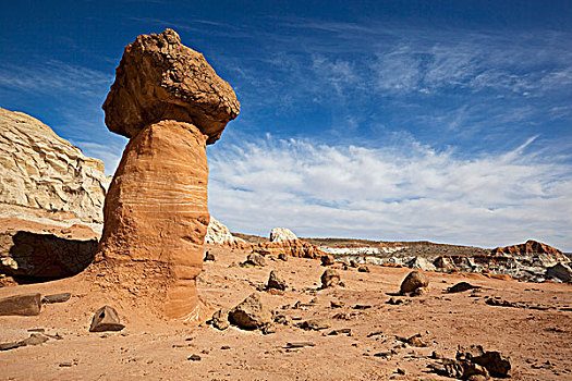 伞菌,怪岩柱,大阶梯-埃斯卡兰特国家保护区,犹他,北美,美国