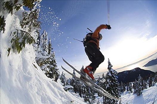男人,滑雪,柏树,山,温哥华,不列颠哥伦比亚省,加拿大