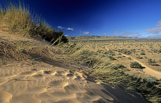 沙丘,干燥,自然,自然保护区,北开普,南非