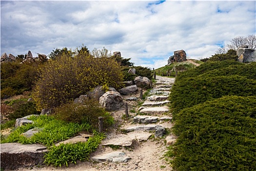 石头,楼梯,假山庭园,植物园