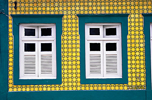 巴西,靠近,累西腓,绿色,黄色,房子