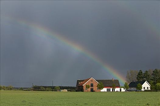 彩虹,上方,农场,瑞典