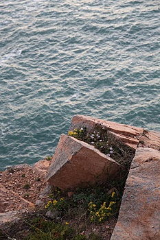 海岸礁石,嵊泗,大海