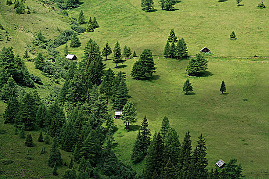 高山