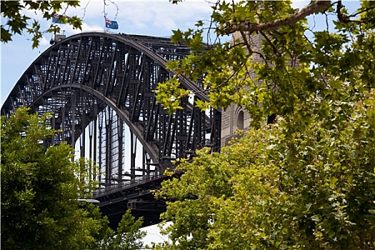 悉尼,桥