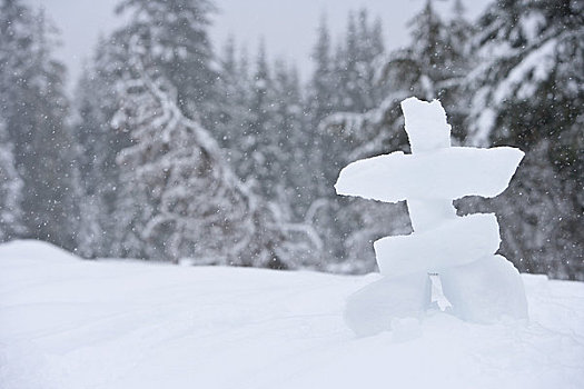 因纽石刻,雪