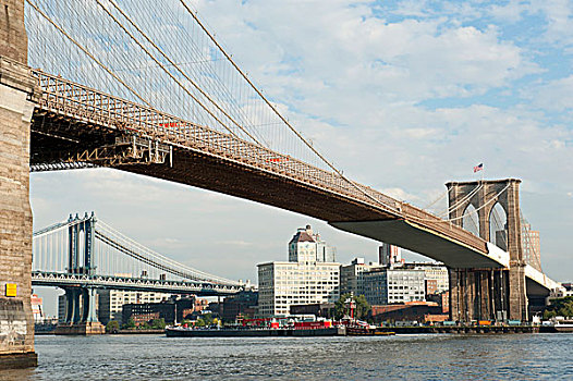 布鲁克林大桥,吊桥,跨越,东河,曼哈顿大桥,后面,两个,桥,地区,纽约,美国,北美