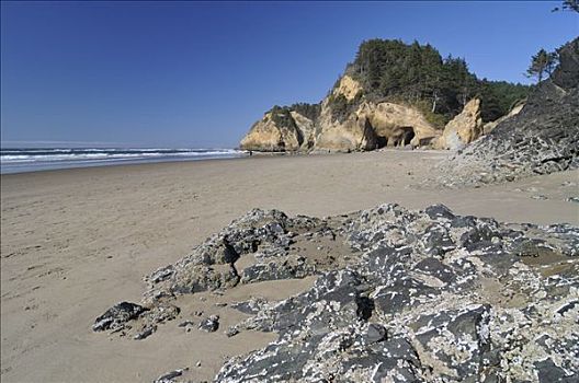 海滩,石头,搂抱,州立公园,俄勒冈,美国,北美