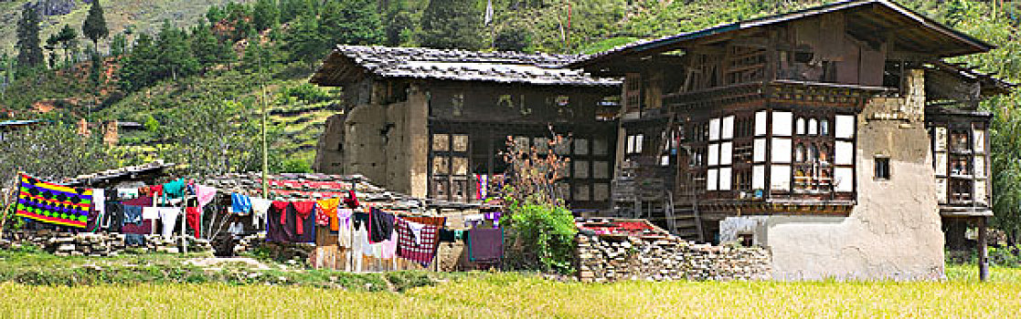 不丹,传统,房子,麦田