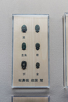 上海博物馆的战国时期楚国钱币蚁鼻钱