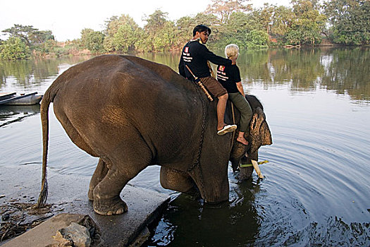 驱象者,大象,水塘,浴,泰国,一月,2007年