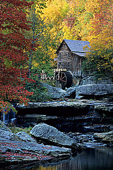 林间空地,溪流,磨坊,秋天,州立公园,西维吉尼亚