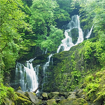 瀑布,基拉尼国家公园,凯瑞郡,爱尔兰