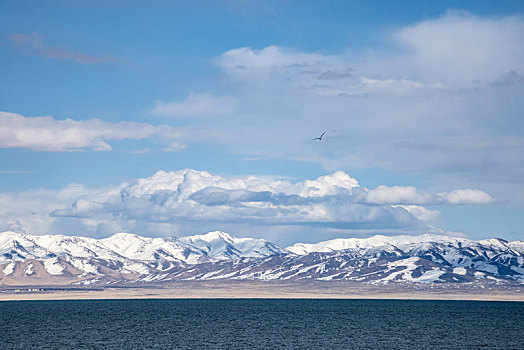 青海湖边的雪山