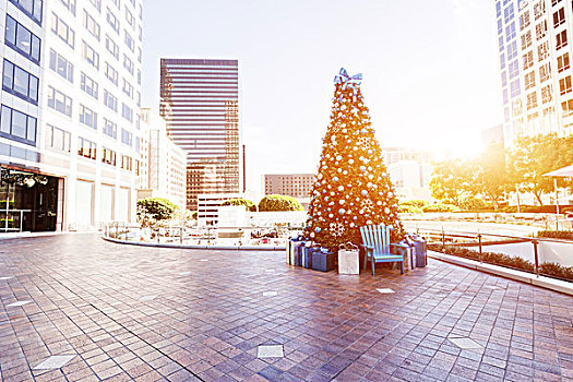 圣诞树,地板,现代办公室,建筑,洛杉矶,日出