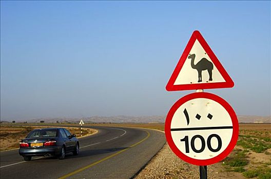 路标,骆驼,限速,阿曼苏丹国