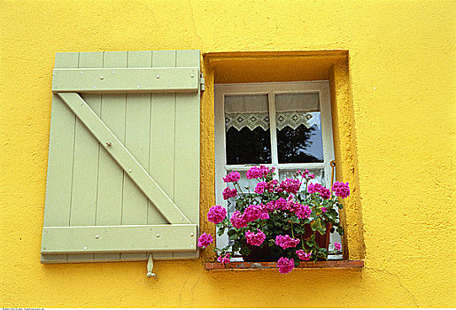 花箱,窗户,普罗旺斯,法国