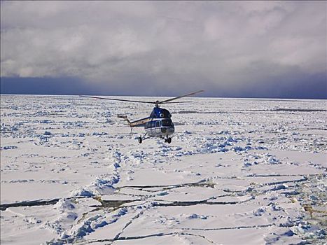 直升飞机,上方,海洋,冰,南极