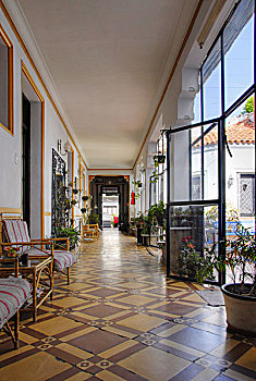 酒店,走廊,门多萨,阿根廷