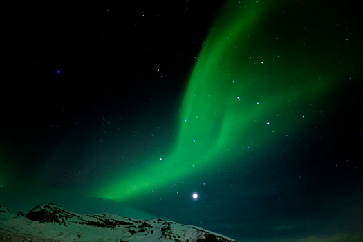 北极光,南方,冰岛