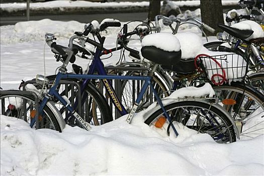 德国,慕尼黑,积雪,自行车