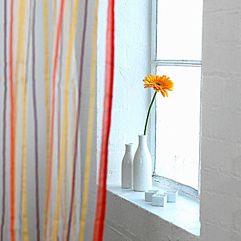 橙色,大丁草,白色,花瓶,蜡烛,窗户,窗台,后面,条纹,帘