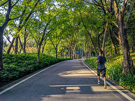 广州天河公园跑道绿道