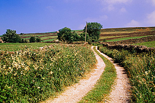 道路,石头,栏杆,约克郡溪谷国家公园,英格兰