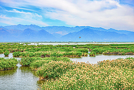 宁夏回族自治区,沙湖景观