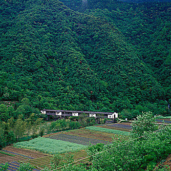 深山中的廊桥