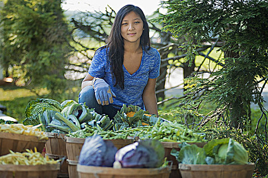 美女,农产品,菜园,新鲜,蔬菜,拿着,篮子