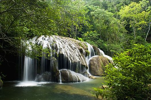 瀑布,河,鲣,巴西