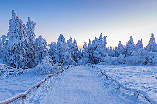 积雪,冬季风景,小路,黎明,格罗塞尔,法兰克福,黑森州,德国