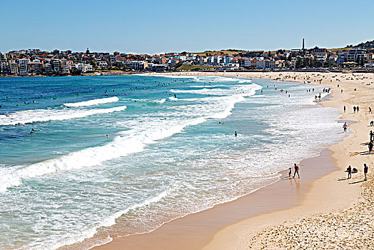 澳大利亚,海滩,游客,冲浪
