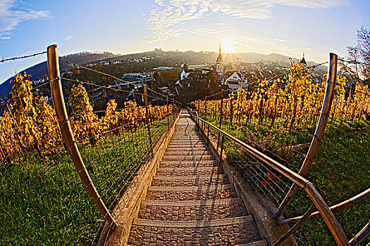 日落,楼梯,葡萄园,城堡,沙夫豪森,瑞士