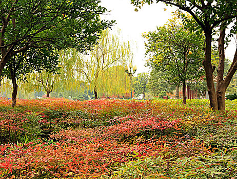 湖南,长沙市