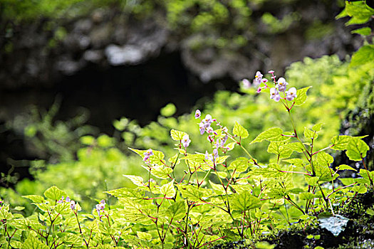 百里峡