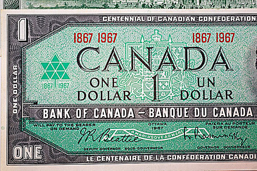 特写,老,加拿大,百年,一美元