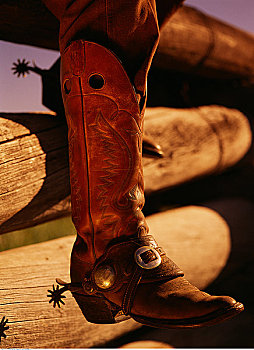特写,牛仔靴,马剌,道格拉斯湖牧场,不列颠哥伦比亚省,加拿大