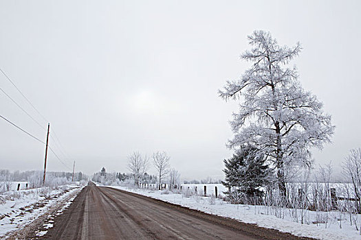 乡间小路,冬天,桑德贝,安大略省,加拿大