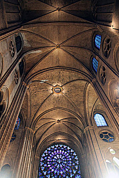天花板,教堂中殿,巴黎圣母院,巴黎